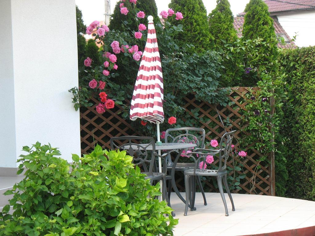 Doina Apartman ซาลาคาโรส ห้อง รูปภาพ
